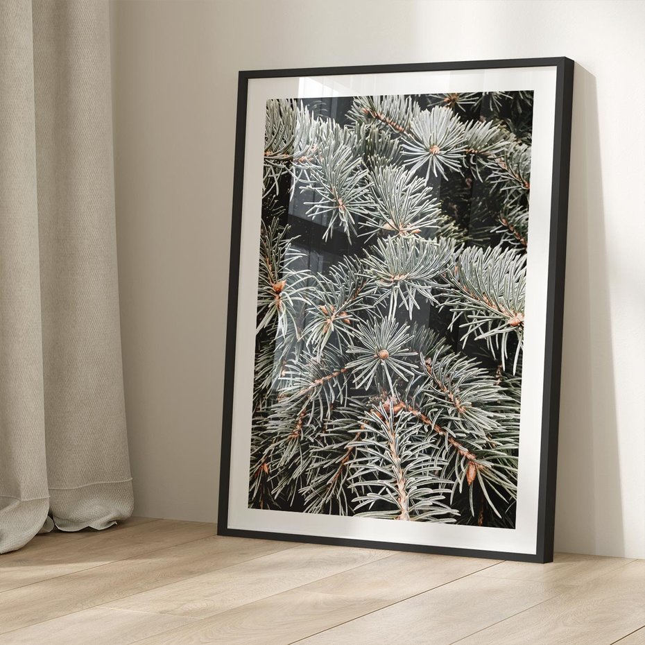 Plakat bez ramy 21x30 - Zima na Gałęziach - sosnowe gałęzie, igły