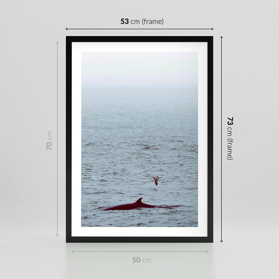 Plakat w ramie 50x70 - Spotkanie z Orką - morze, ocean - rama czarna