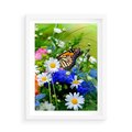 Plakat w ramie 50x70 - Kwiatowy Taniec - motyl, kwiaty - rama biała