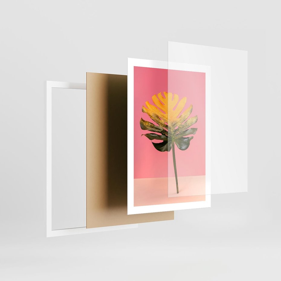 Plakat w ramie 50x70 - Majestatyczna monstera - monstera, liść - rama biała