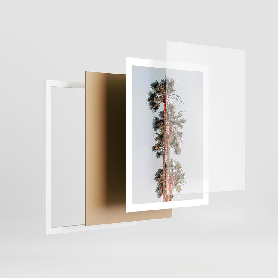 Plakat w ramie 50x70 - Kształty Palm - palmy, zdjęcie - rama biała