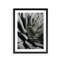 Plakat w ramie 30x40 - Egzotyczny Raj - sukulenty, kaktusy - rama czarna