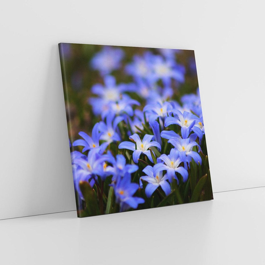 Obraz na płótnie 70x70 - Kwiatowy raj w naturze - kwiat, kwiaty