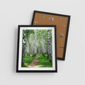 Plakat w ramie 40x50 - Bajkowy las pełen brzóz - las, brzozy - rama czarna