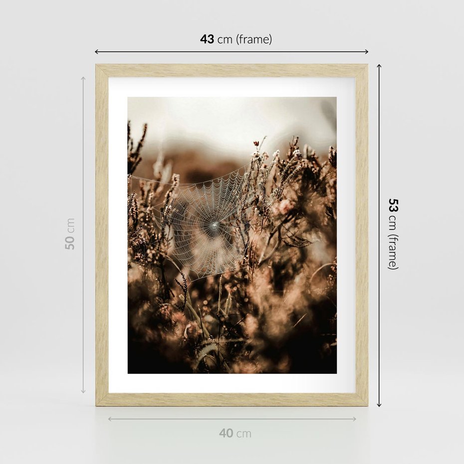 Plakat w ramie 40x50 - Jesienny Mikrokosmos - suchetrawy, jesienny klimat - rama drewno