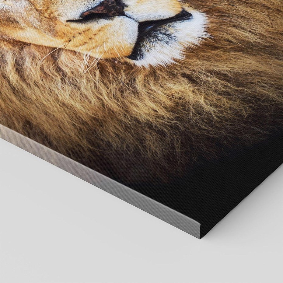 Obraz na płótnie 50x70 - Król zwierząt w majestatycznym stylu - lew, król