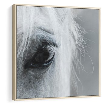 Obraz w ramie 50x50 - Oko Mocy - czarno białe zdjęcie, zbliżenie makro na oko konia - rama drewno