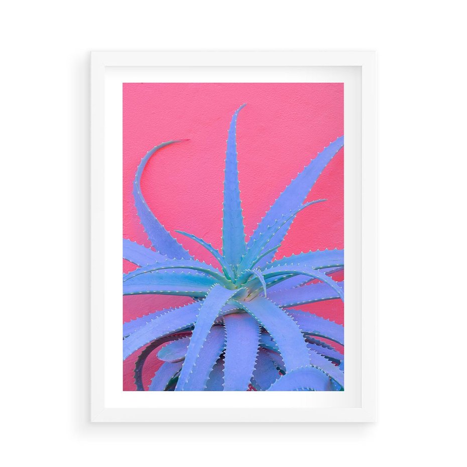 Plakat w ramie 50x70 - Piękno Pustyni - kaktusy, liście - rama biała