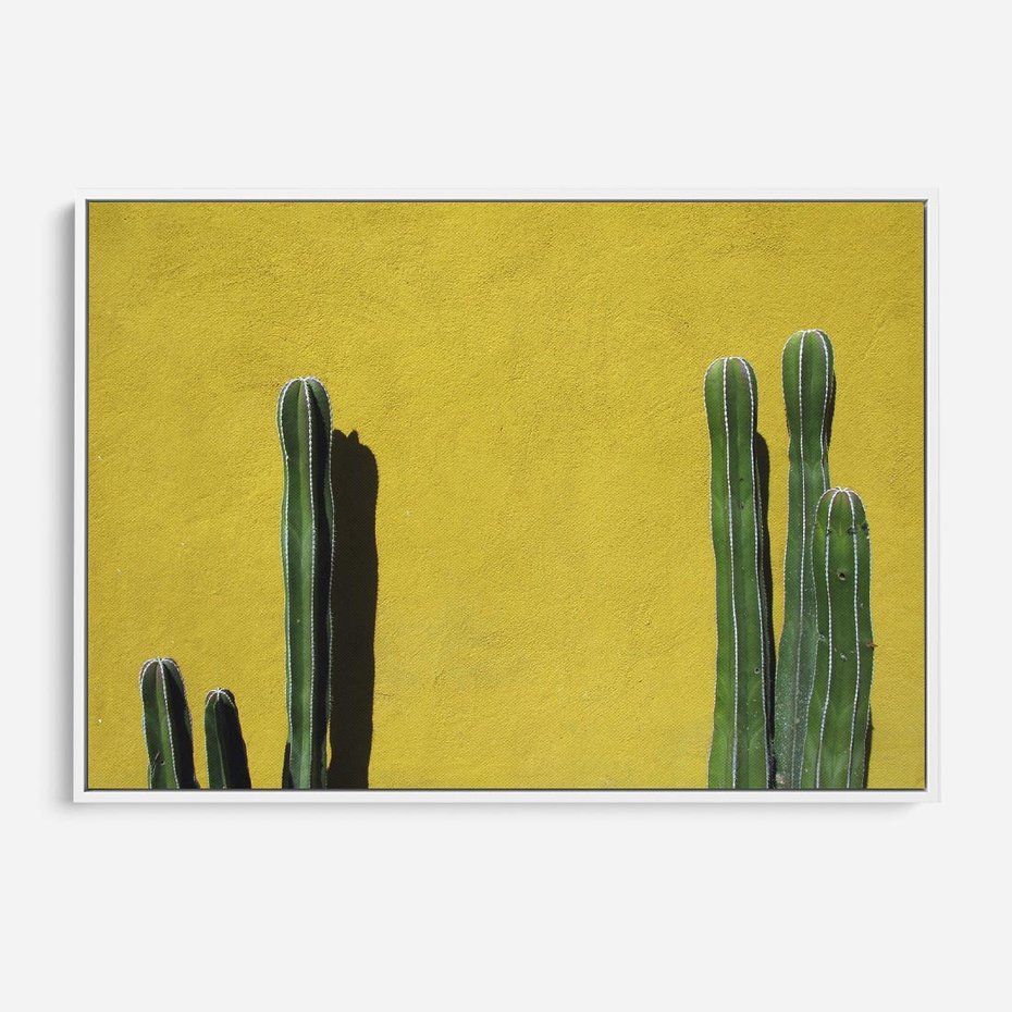 Obraz w ramie 70x50 - Refleksje w roślinnym odbiciu - zielone kaktusy na tle żółtej ściany, soczyste kolory - rama biała