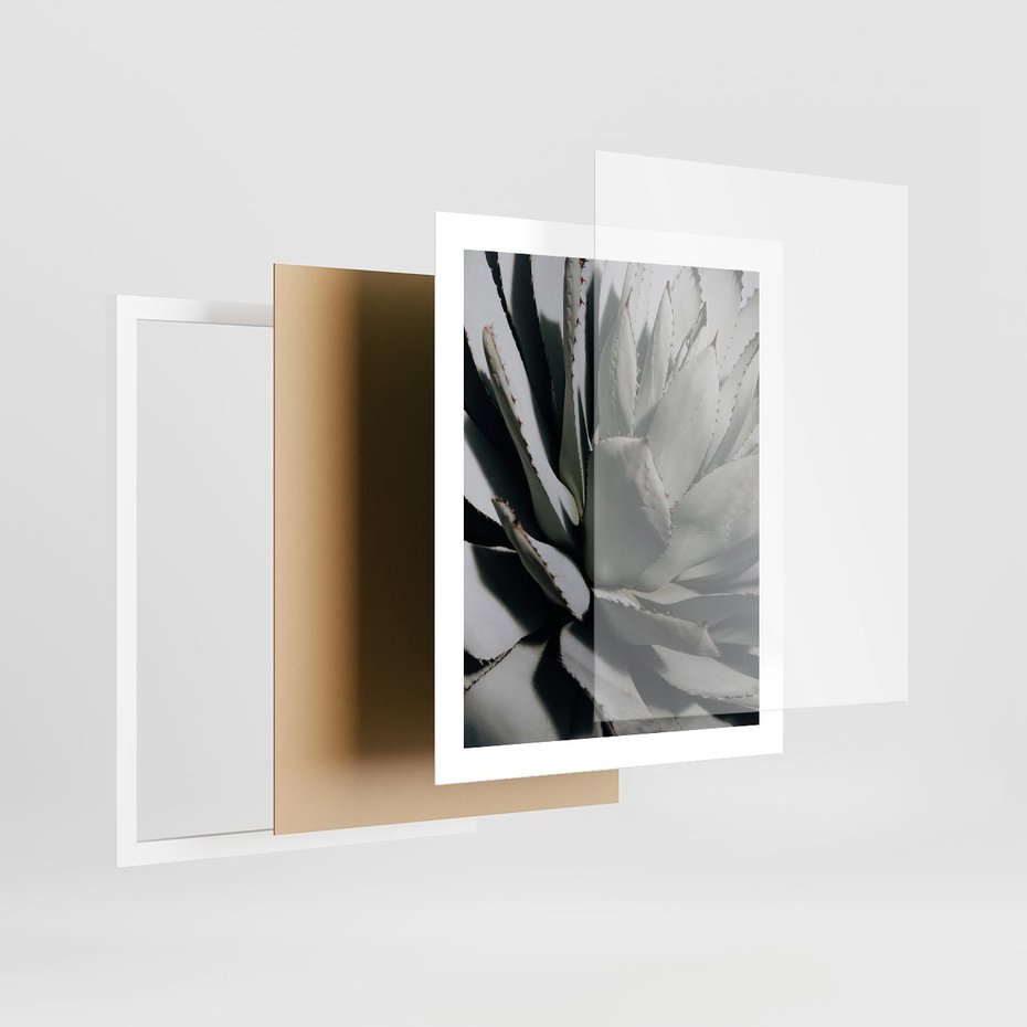 Plakat w ramie 40x50 - Egzotyczny Raj - sukulenty, kaktusy - rama biała