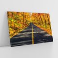 Obraz na płótnie 100x70 - Droga przez jesienny las - droga, las