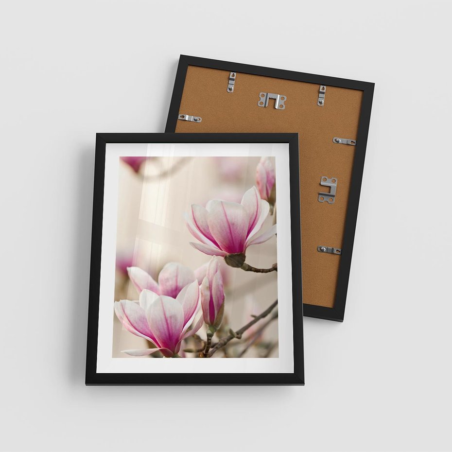 Plakat w ramie 40x50 - Urok Magnolii - magnolie, kwiaty - rama czarna