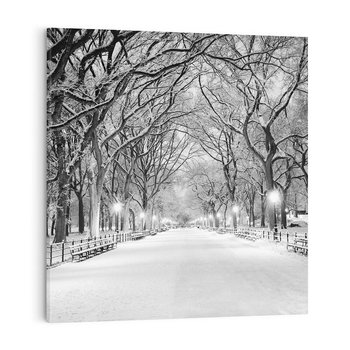 Obraz na płótnie 80x80 - cisza wśród drzew - zima, park