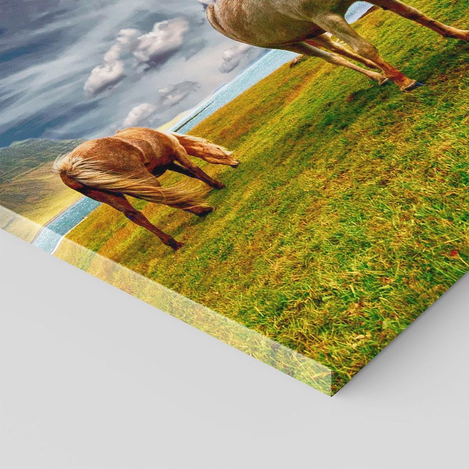 Obraz na płótnie 60x60 - Konie na łące przy jeziorze: Siła natury - konie, łąka