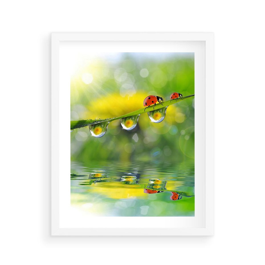 Plakat w ramie 40x50 - Deszczowa Biedronka - biedronka, deszcz - rama biała