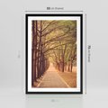 Plakat w ramie 50x70 - Wędrówka między drzewami - droga, drzewa - rama czarna