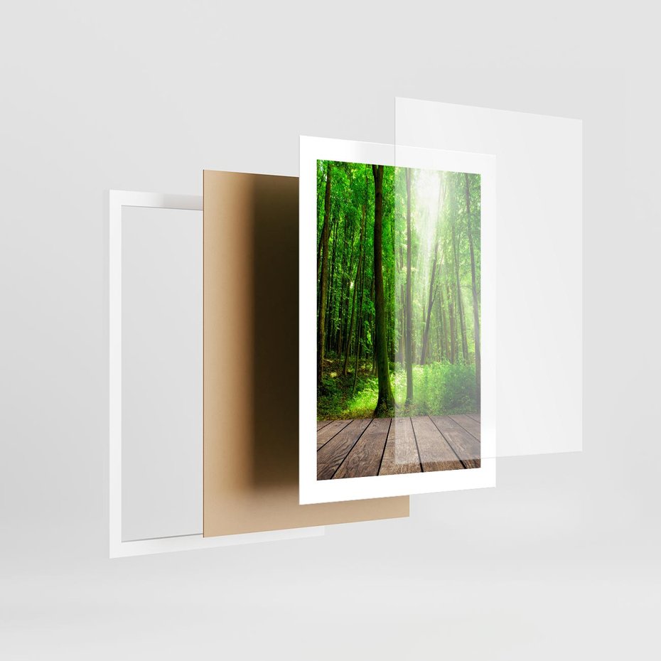 Plakat w ramie 30x40 - Spacer po urokliwej dróżce w lesie - las, dróżka - rama biała