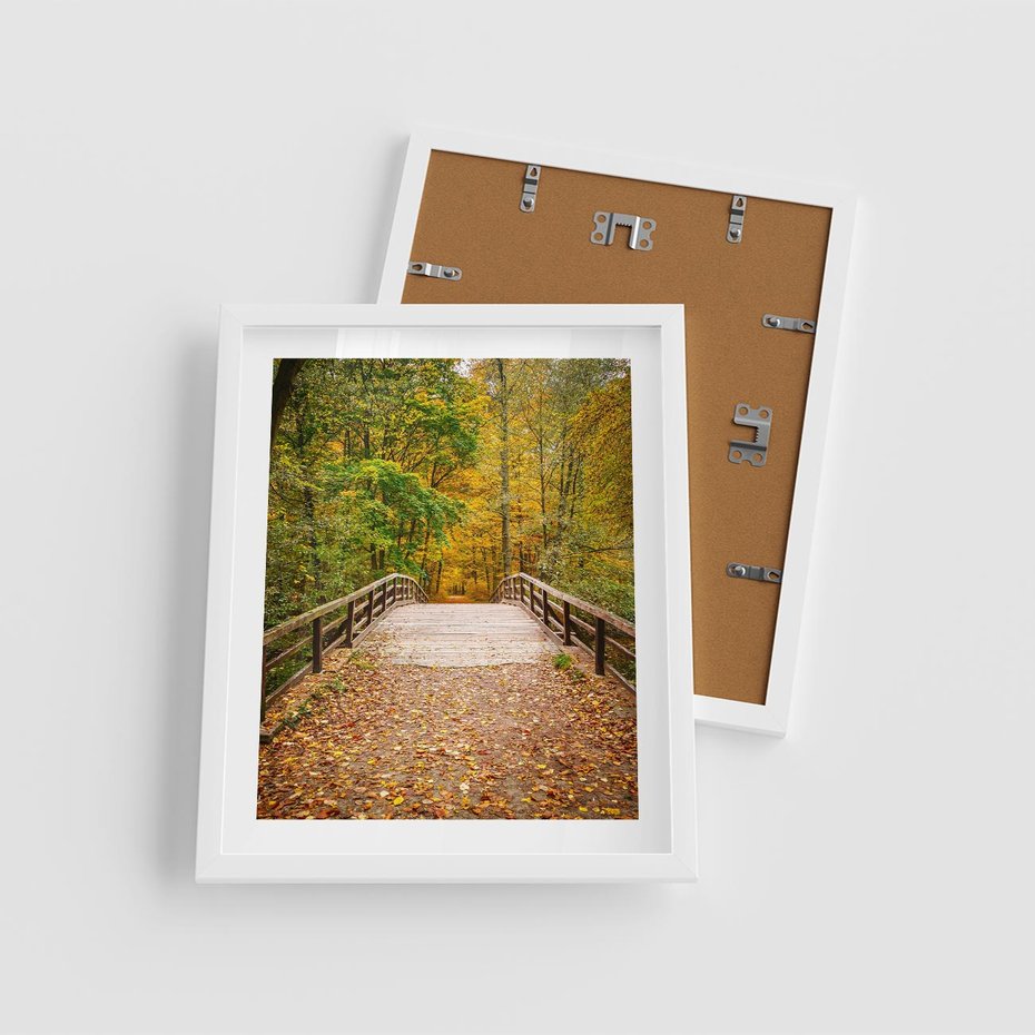 Plakat w ramie 40x50 - Spacer Ścieżką w Las - ścieżka, spacer - rama biała