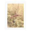 Plakat bez ramy 30x40 - Boho Wizja - suszone, trawy