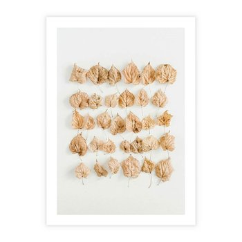 Plakat bez ramy 30x40 - Liście Złotego Sezonu - kompozycja z suchych żółtych liści