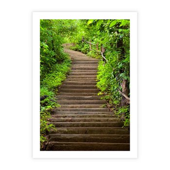 Plakat bez ramy 40x50 - Magia Leśnej Ścieżki - ścieżka, w lesie