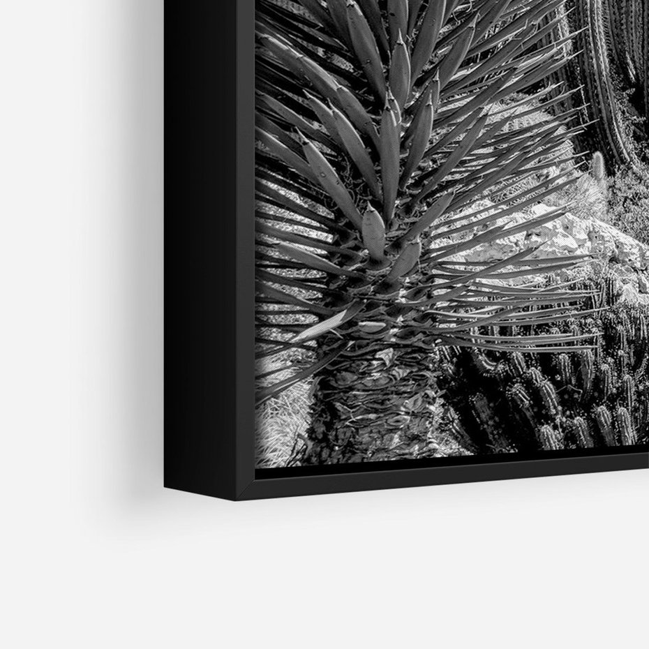 Obraz w ramie 70x100 - Pustynny Klimat - czarno białe zdjecie, pustynia - rama czarna