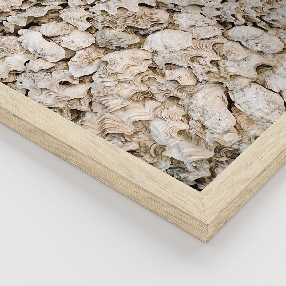 Zestaw obrazy w ramie 40x50 galeria - Plaża, boho, palmy, muszle, morze - rama drewno