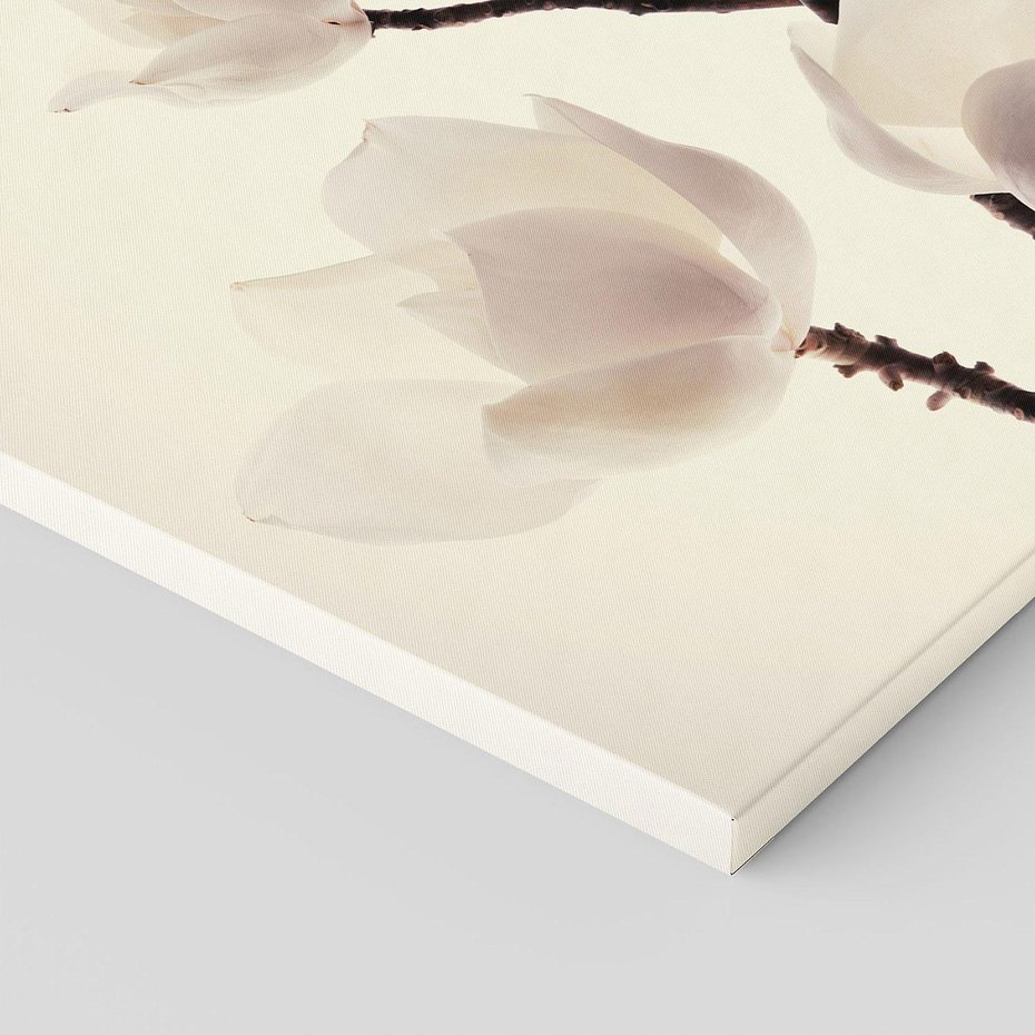 Obraz na płótnie 70x50 - Elegancja Natury - magnolia, białe