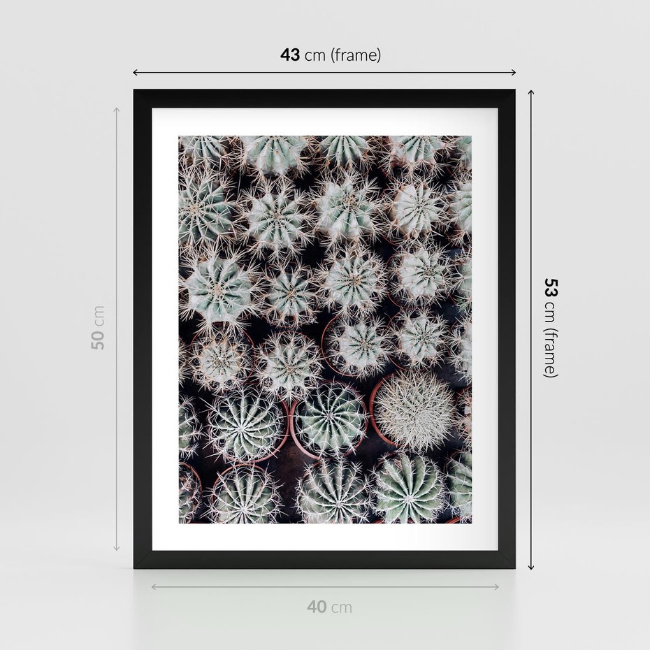 Plakat w ramie 40x50 - Wzór Kaktusów - kaktusy w doniczkach, ujęcie z góry - rama czarna
