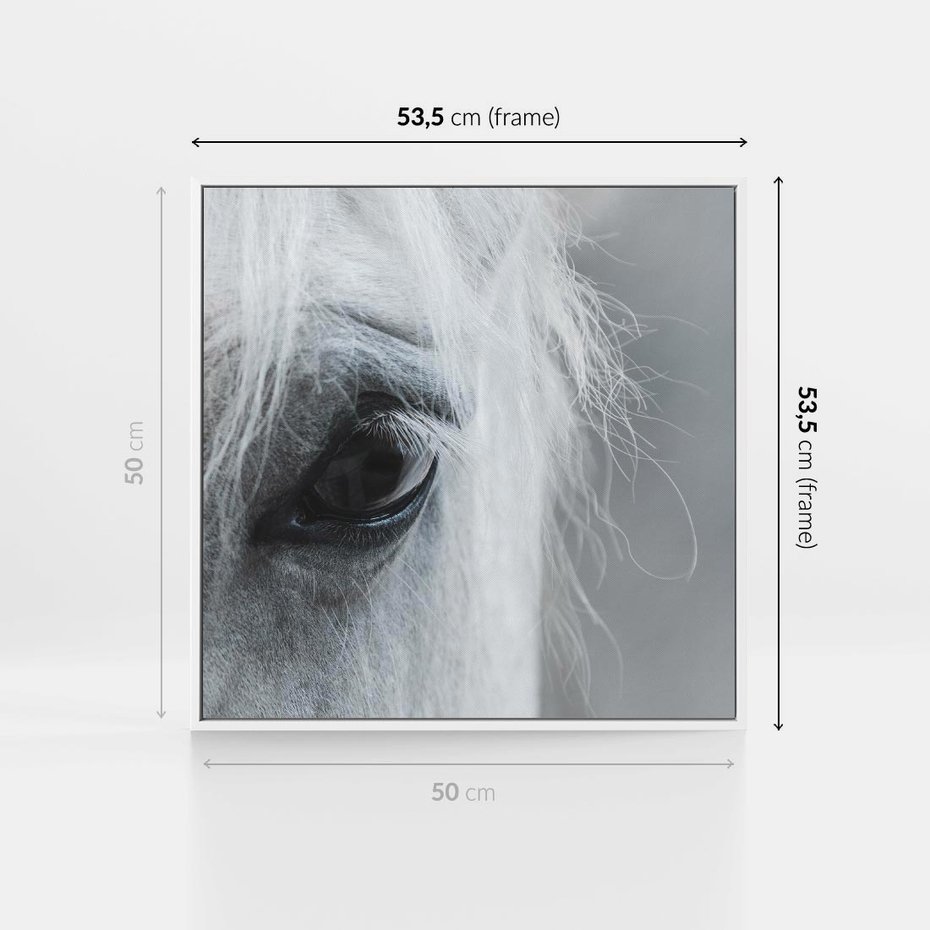 Obraz w ramie 50x50 - Oko Mocy - czarno białe zdjęcie, zbliżenie makro na oko konia - rama biała