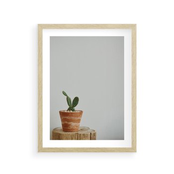 Plakat w ramie 30x40 - Kaktus w Doniczce - minimalizm, kaktur w doniczce - rama drewno
