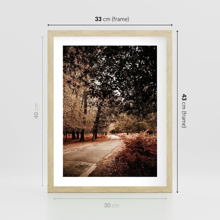 Plakat w ramie 30x40 - Magia Jesieni: Pejzaż Parku w Odcieniach Żółci - jesień, park - rama drewno