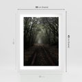Plakat w ramie 30x40 - Urok Drogi - las, droga - rama biała