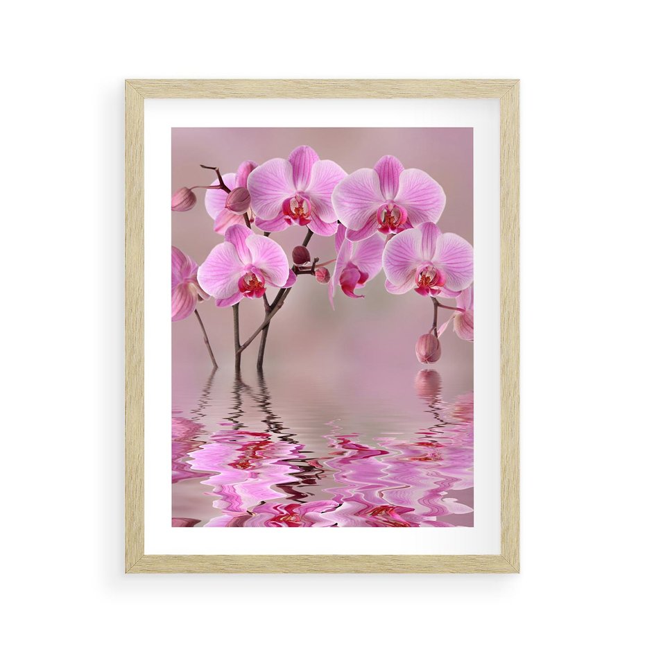Plakat w ramie 40x50 - Relaksacyjne spa w otoczeniu storczyka - spa, storczyk - rama drewno
