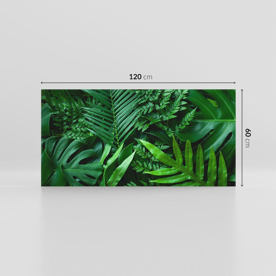 Obraz na płótnie 120x60 - Monstera Liście Fantazja - monstera, liście