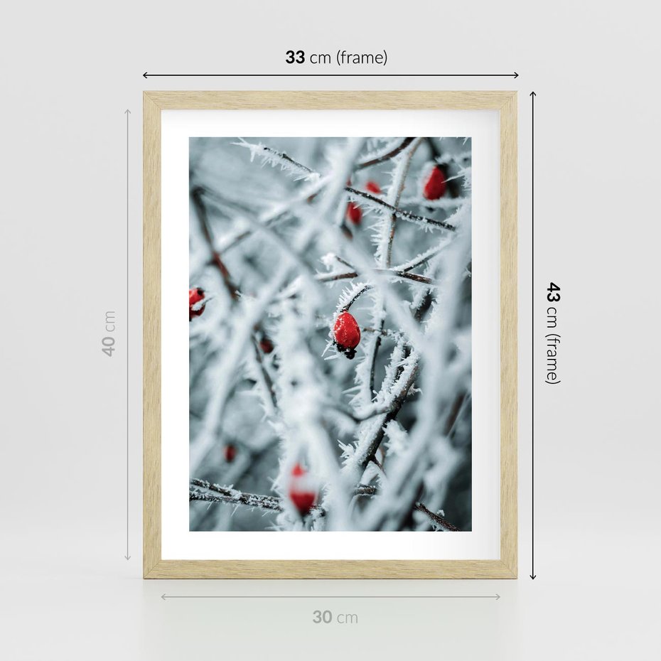Plakat w ramie 30x40 - Zima na Gałęziach - zima, oszronione gałęzie - rama drewno