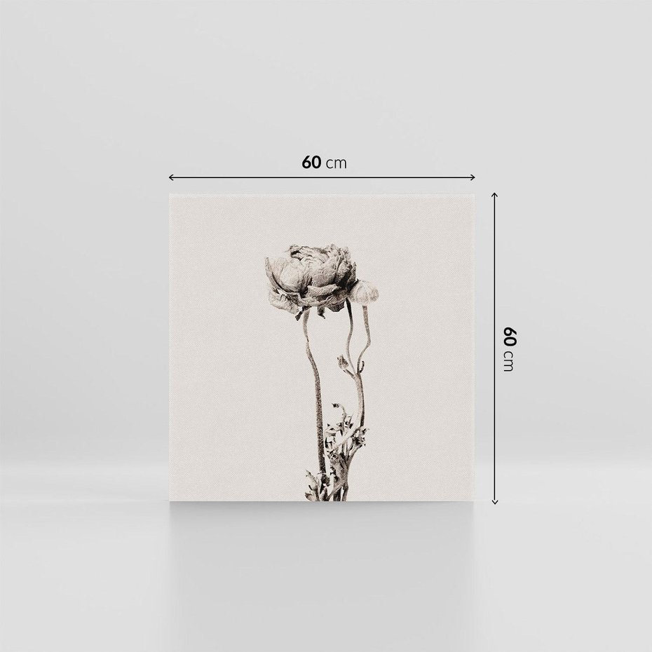 Obraz na płótnie 60x60 - Cień Kwiatowej Delikatności - kwiat, cień