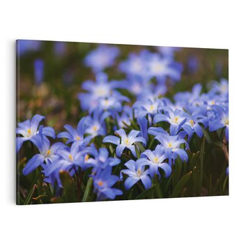 Obraz na płótnie 120x80 - Kwiatowy raj w naturze - kwiat, kwiaty