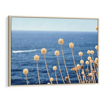 Obraz w ramie 70x50 - Kontrasty Natury - fotografia, pierwszy plan sucha roślinność - rama drewno