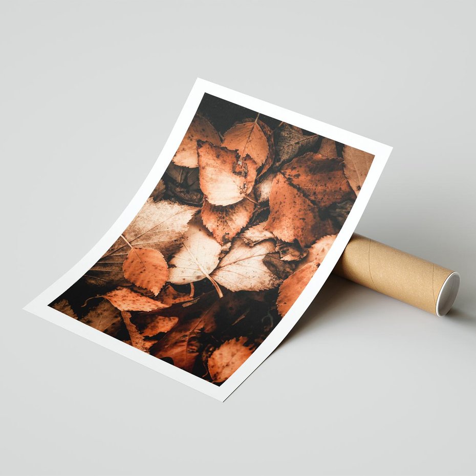 Plakat bez ramy 50x70 - Jesienna Paleta - liście, jesień