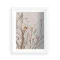 Plakat w ramie 40x50 - Boho gałązki suche - gałązki, suche - rama biała