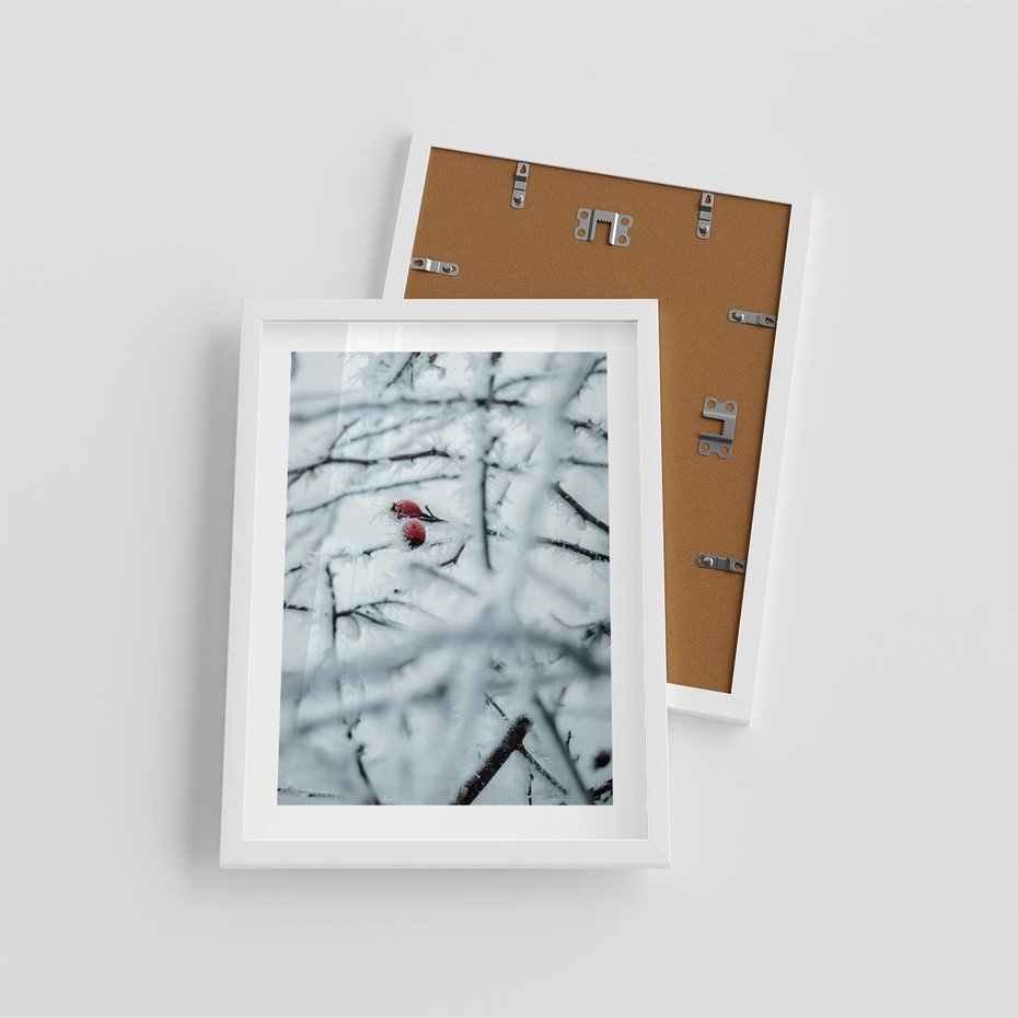 Plakat w ramie 30x40 - Zima w Detalu: Gałęzie ze Szronem i Śniegiem - śnieg, zima - rama biała