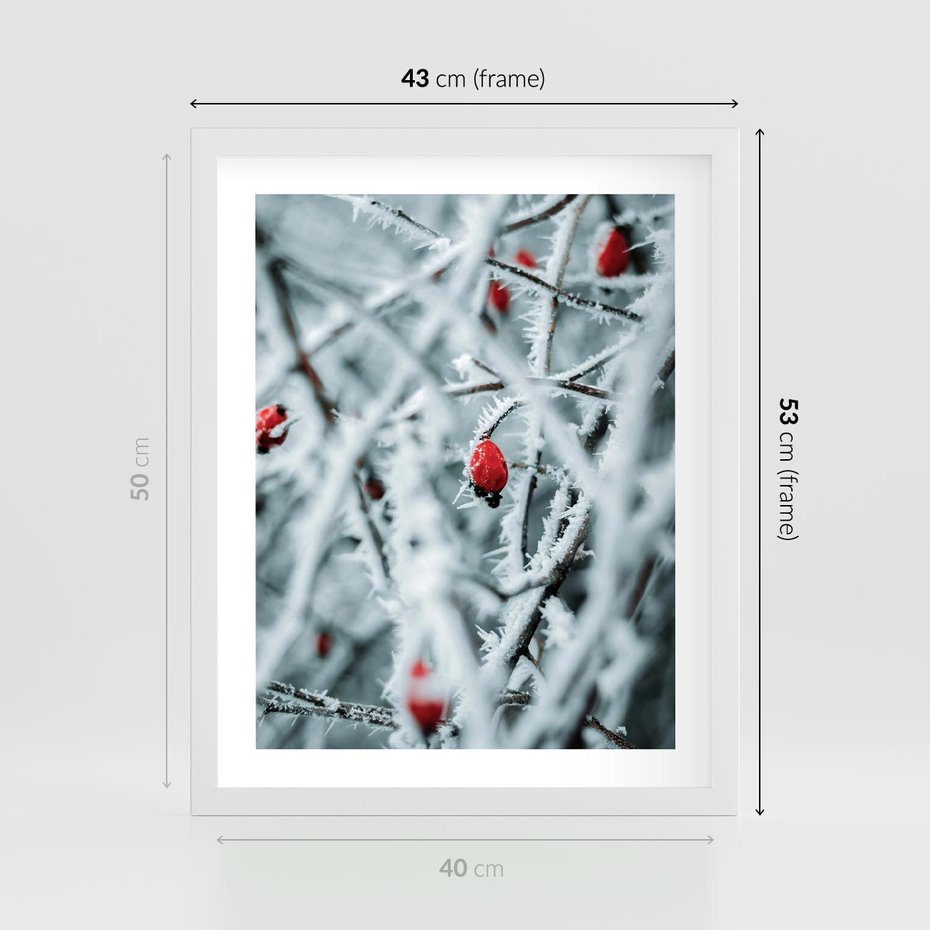 Plakat w ramie 40x50 - Zima na Gałęziach - zima, oszronione gałęzie - rama biała