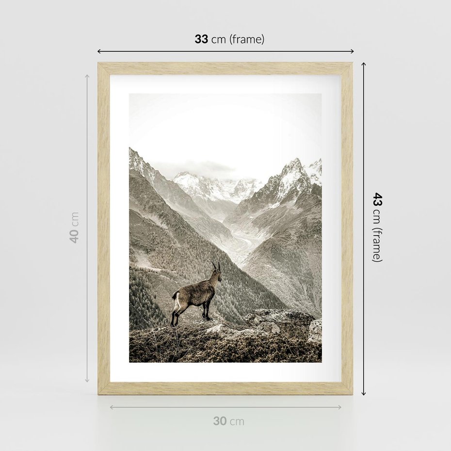 Plakat w ramie 30x40 - Dzikie Piękno: Kozica w Malowniczym Górskim Scenerii - kozica, góry - rama drewno