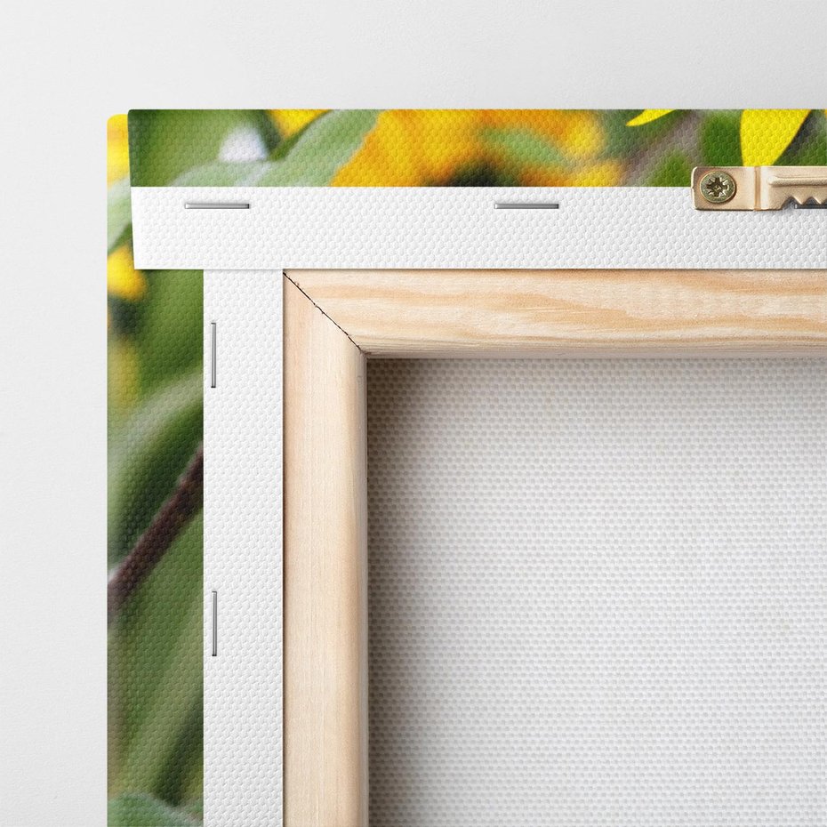 Obraz na płótnie 70x50 - Kwiatowa harmonia natury - słonecznik, kwiaty