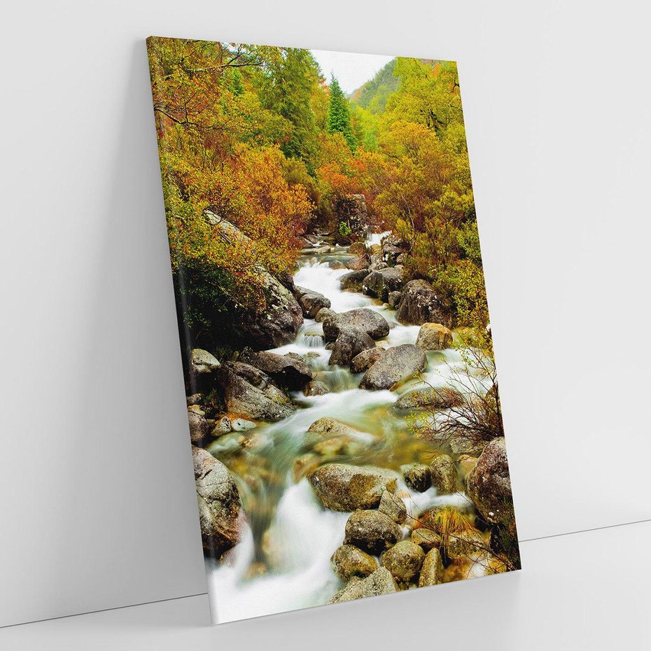 Obraz na płótnie 70x100 - Śpiew Strumienia - strumień, górski