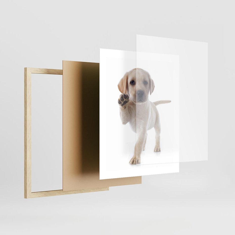 Plakat w ramie 40x50 - Szczeniak pełen radości - piesek, szczeniak - rama drewno