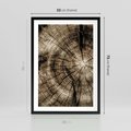 Plakat w ramie 50x70 - Natura Pod Lupą - pień drzewa, przekrój - rama czarna