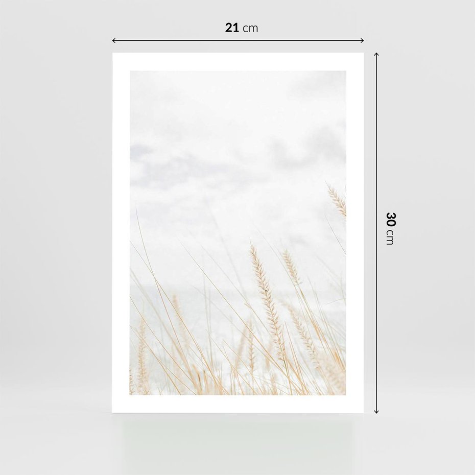 Plakat bez ramy 21x30 - Jasna Delikatność: Fotografia Suchych Traw - suche trawy, jasna fotografia