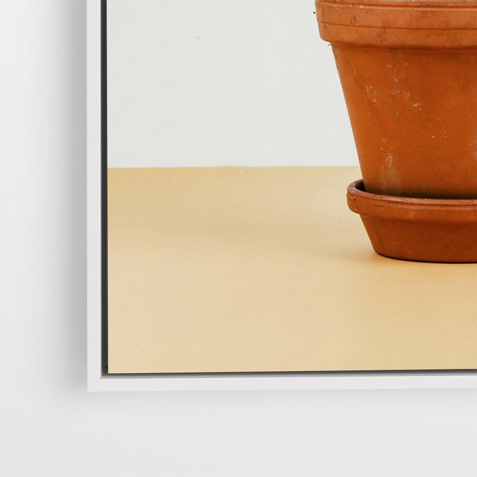 Obraz w ramie 70x100 - Kwiatowy taniec kaktusa - kaktus, kwiat - rama biała